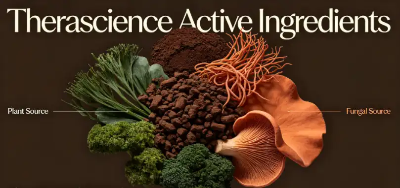 Vegetable carbon - Plants and fungi - Our active ingredients - Therascience Vegetable carbon - Plants and fungi - Our active ingredients - Therascience