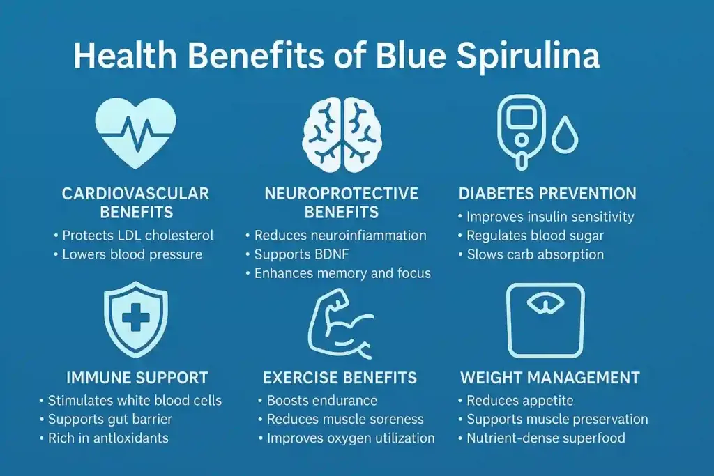 blue-spirulina-benefits_compressed-1024x683.webp blue-spirulina-benefits_compressed-1024x683.webp