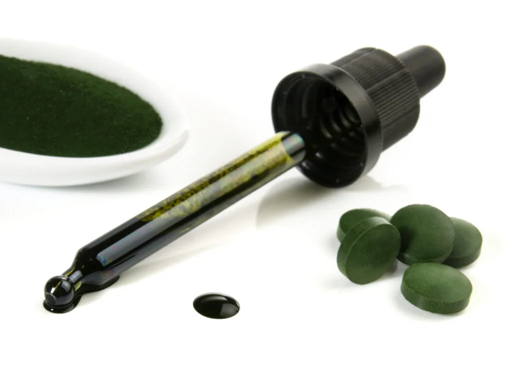 Chlorophyll-1024x768.jpeg
