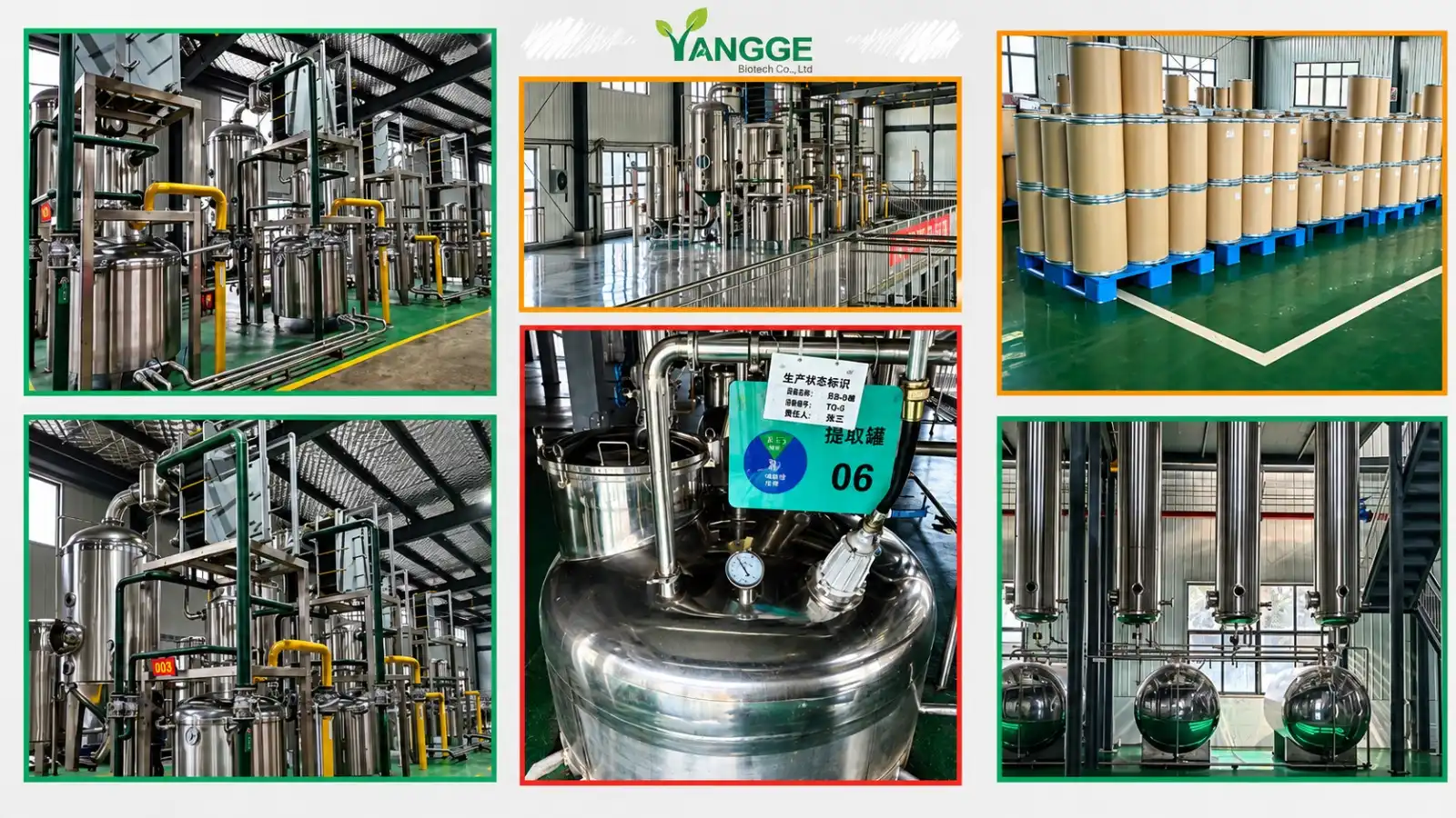 Yangge Biotech Facotry.jpeg Yangge Biotech Facotry.jpeg