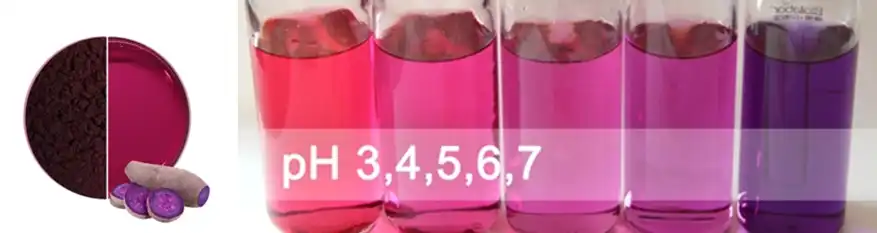 Purple sweet potato red pigment E163 supplier Purple sweet potato red pigment E163 supplier