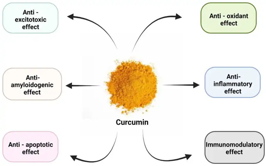 Turmeric Powder Pigment 100(II) Manufacturer Turmeric Powder Pigment 100(II) Manufacturer