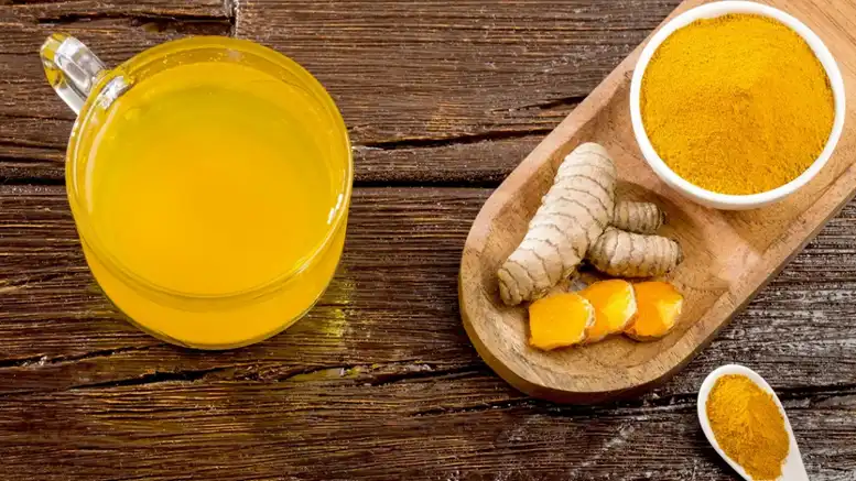 Turmeric Powder Pigment 100(II) Supplier Turmeric Powder Pigment 100(II) Supplier