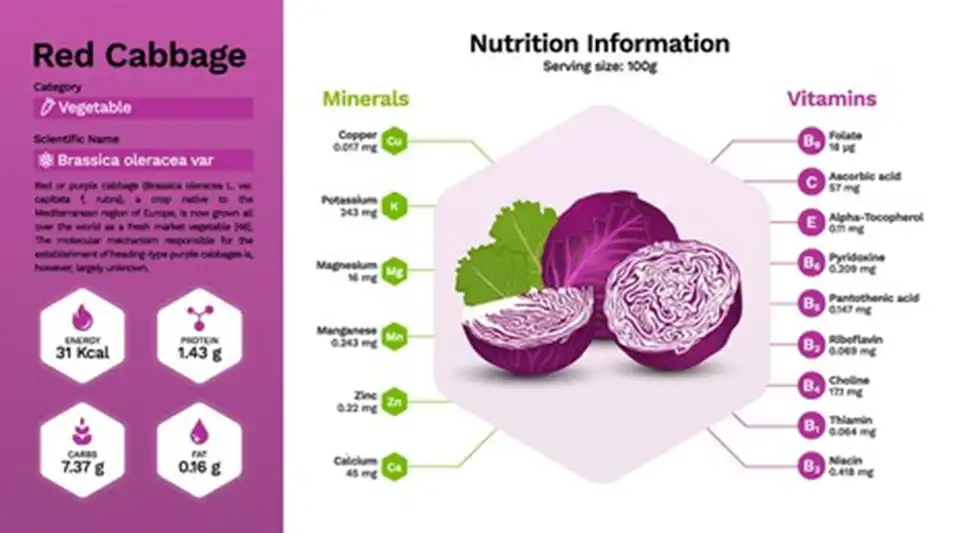 Red Cabbage Powder E163 manufacturer Red Cabbage Powder E163 manufacturer