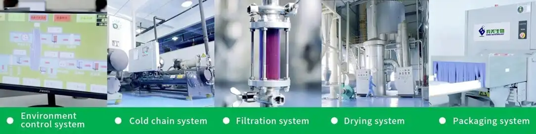 Blue powder spirulina supplier Yangge Biotech Blue powder spirulina supplier Yangge Biotech