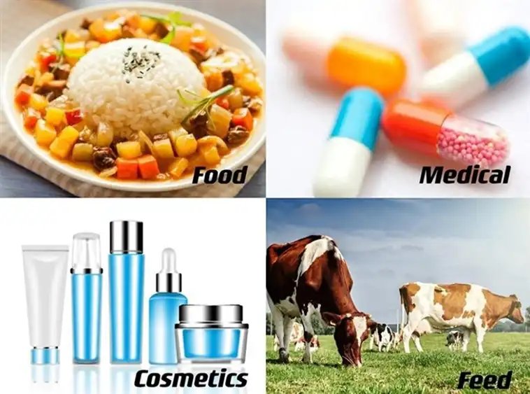 Spermidine Powder supplier Yangge Biotech Spermidine Powder supplier Yangge Biotech