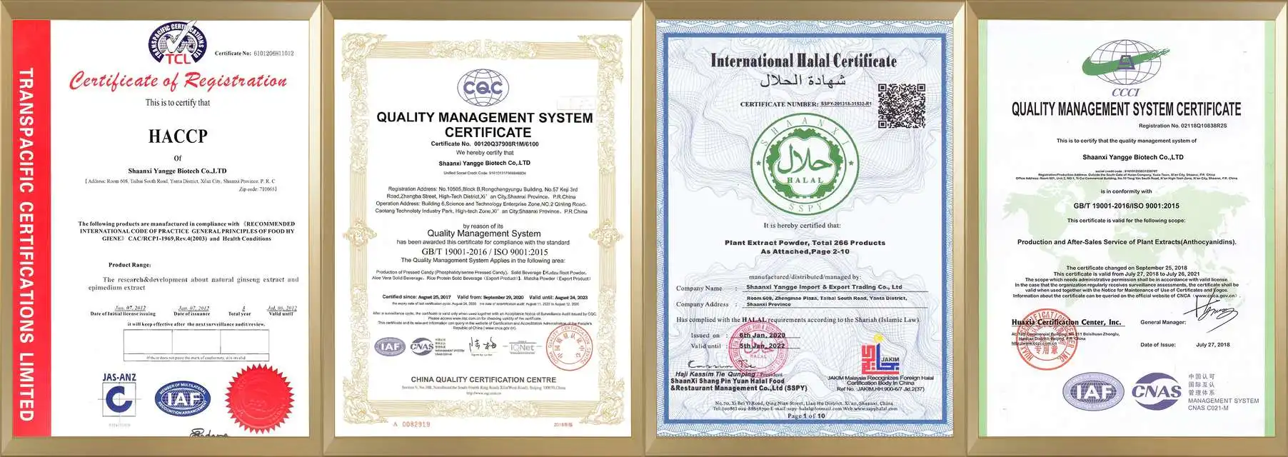 product-1-1 img-1804-640