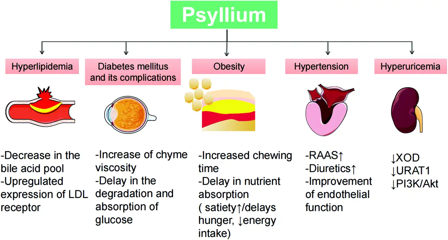 best psyllium husk powder supplier Yangge Biotech best psyllium husk powder supplier Yangge Biotech