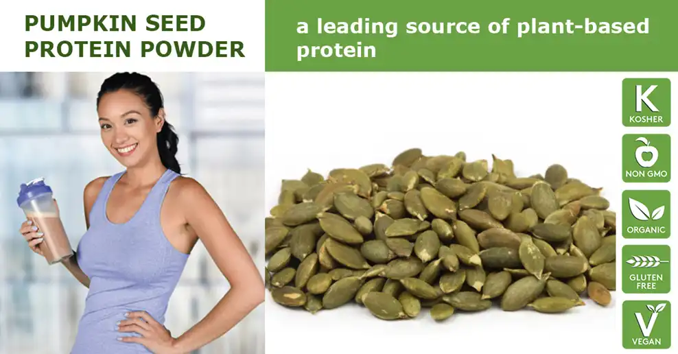 Best Pumpkin Seed Protein Powder supplier Yangge Biotech Best Pumpkin Seed Protein Powder supplier Yangge Biotech