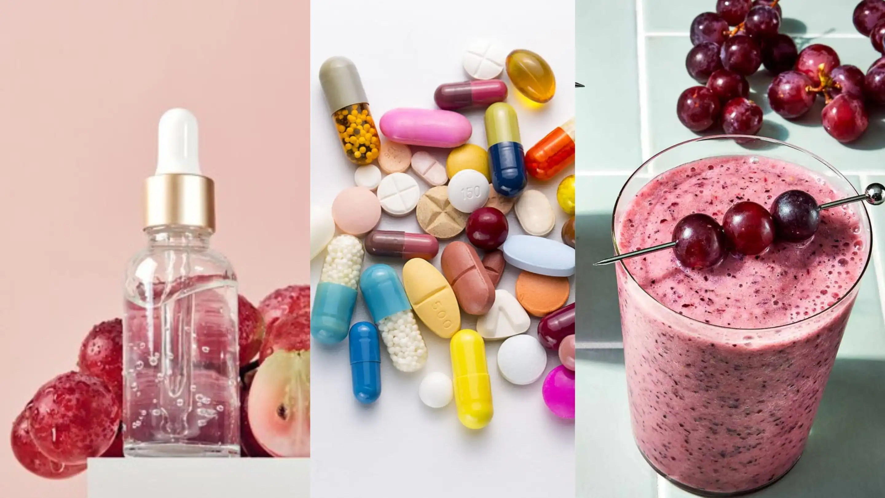 Red Grape Skin Powder Manufacturer Red Grape Skin Powder Manufacturer