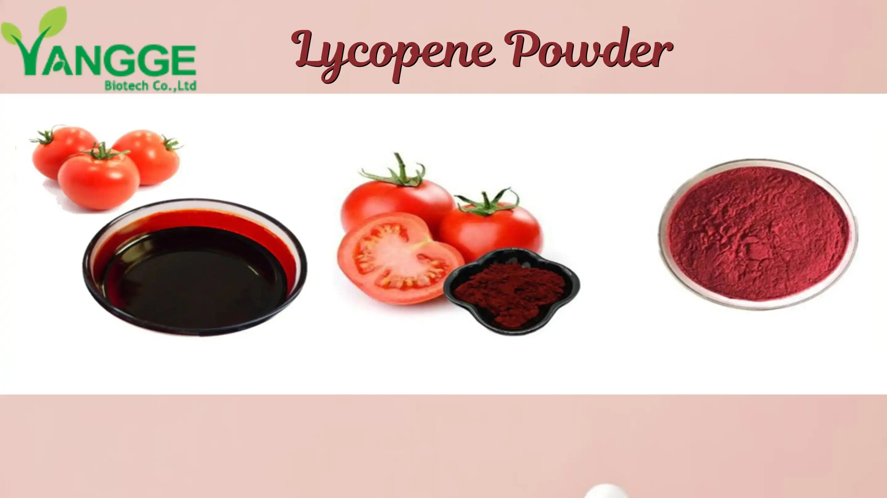 lycopene powder bulk supplier Yangge Biotech lycopene powder bulk supplier Yangge Biotech