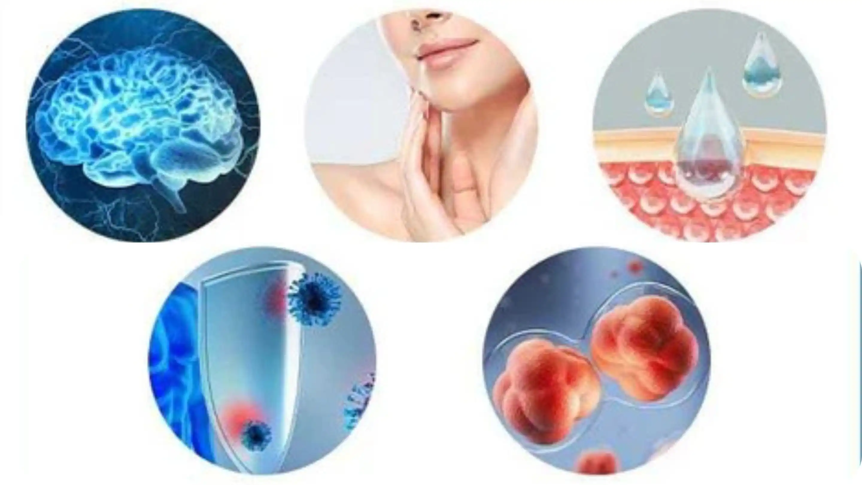 product-1-1 product-1-1