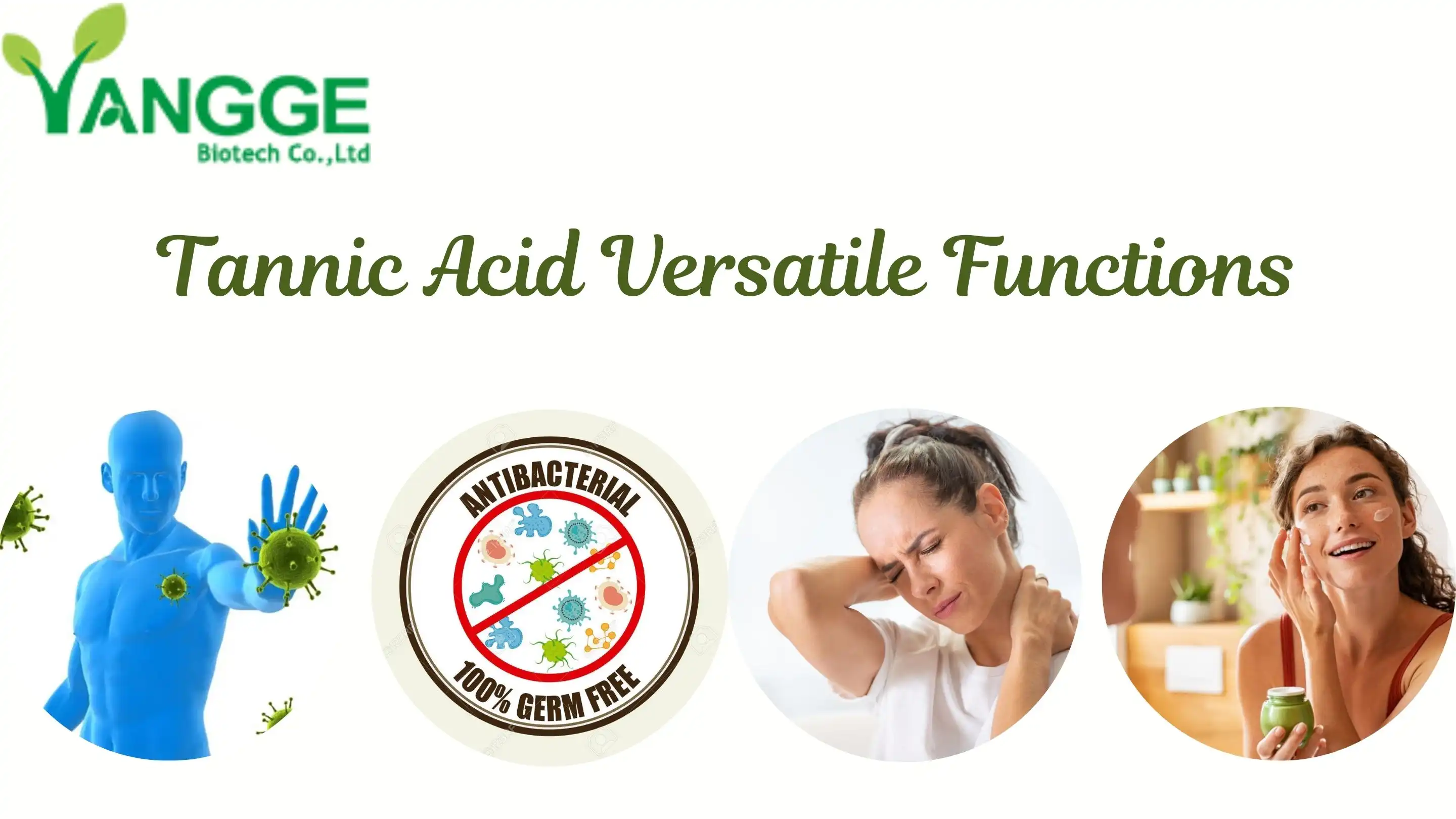 product-1-1 product-1-1