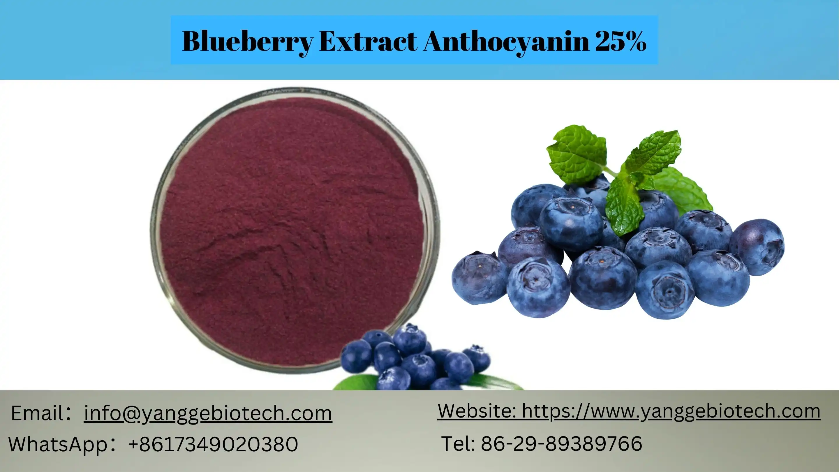 product-1-1 product-1-1