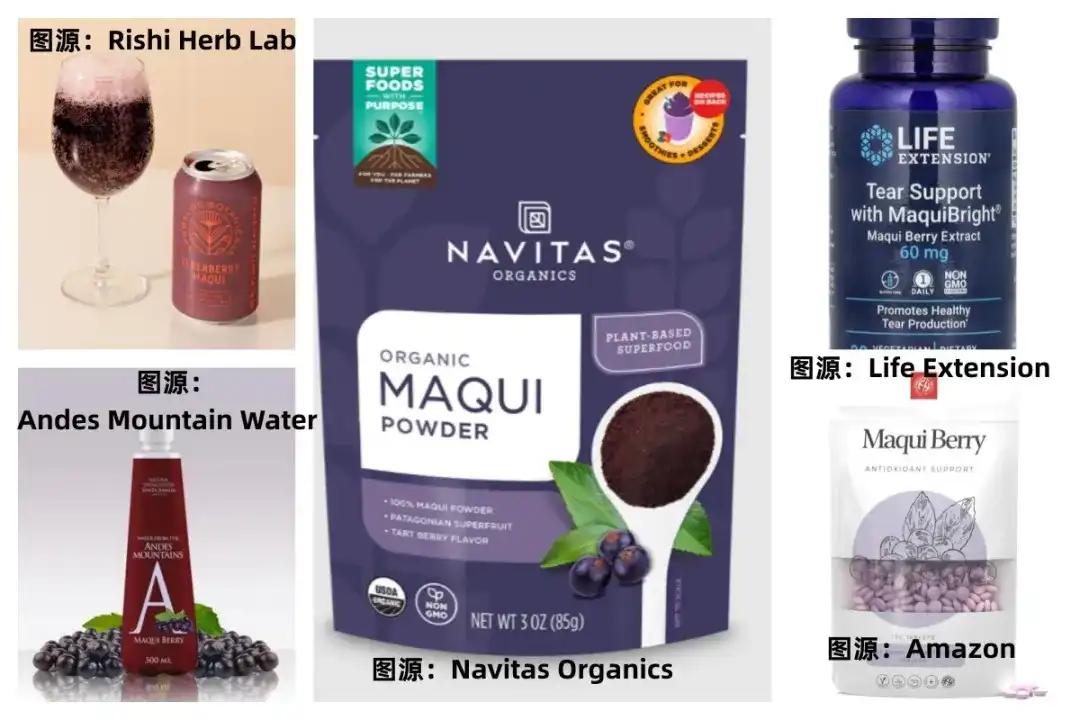 acai berry powder supplier acai berry powder supplier