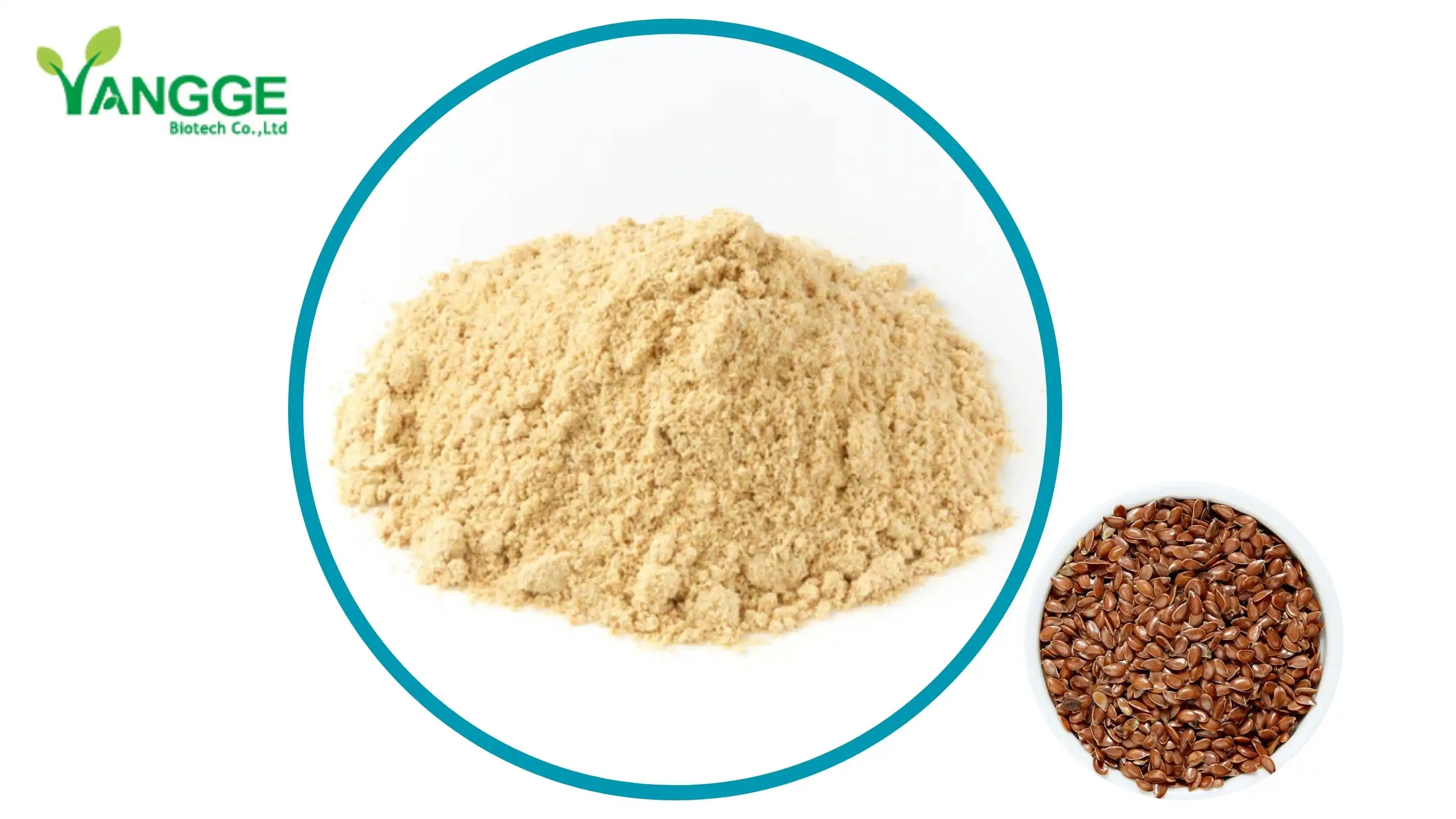 Flax seed protein powder 50% 60% supplier Flax seed protein powder 50% 60% supplier