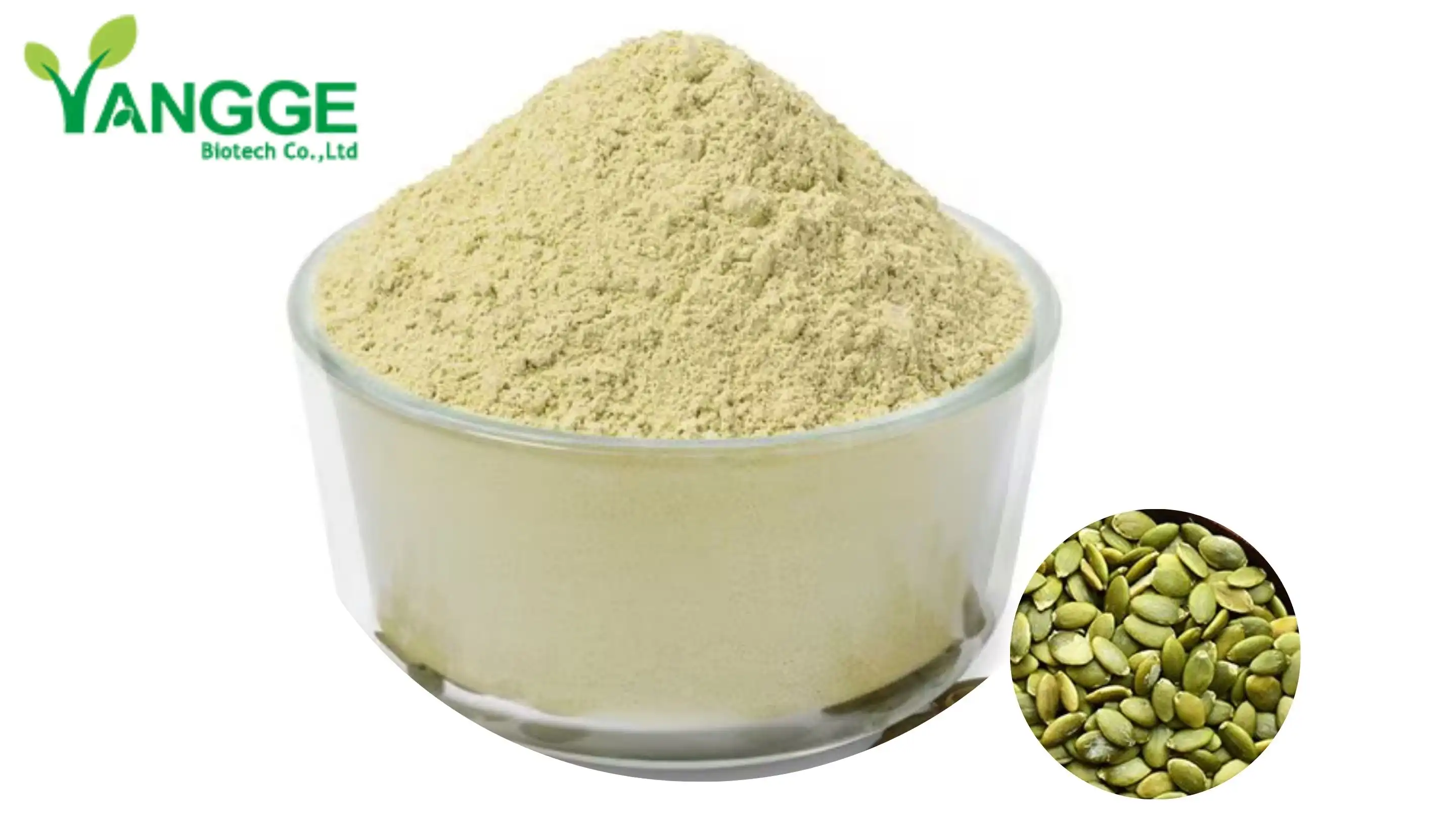 Pumpkin seed protein 60% Pumpkin seed protein 60%