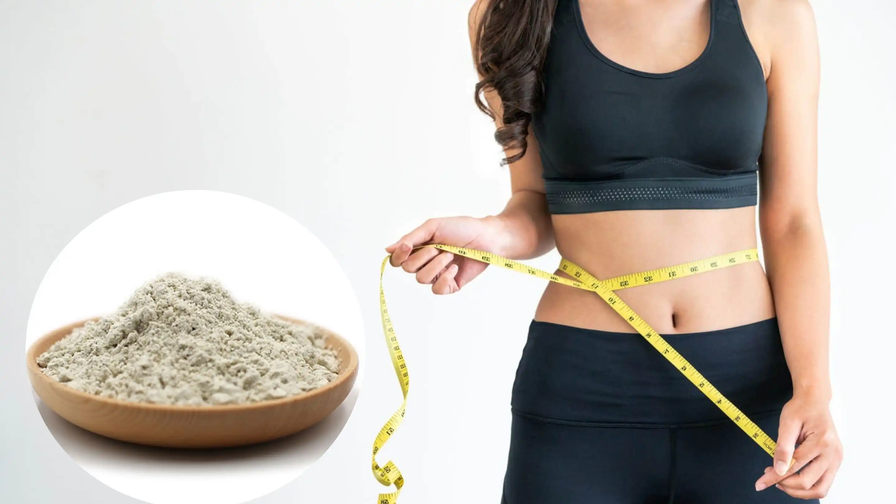 Sunflower Seed Protein supplier Sunflower Seed Protein supplier