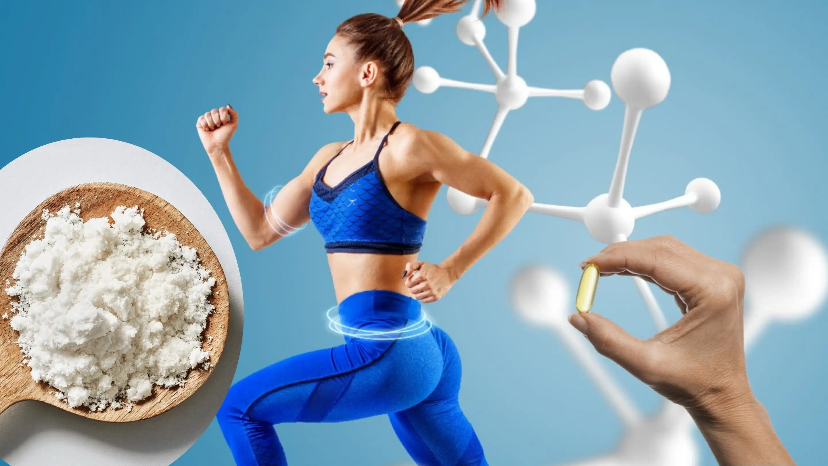 MCT powder supplier MCT powder supplier