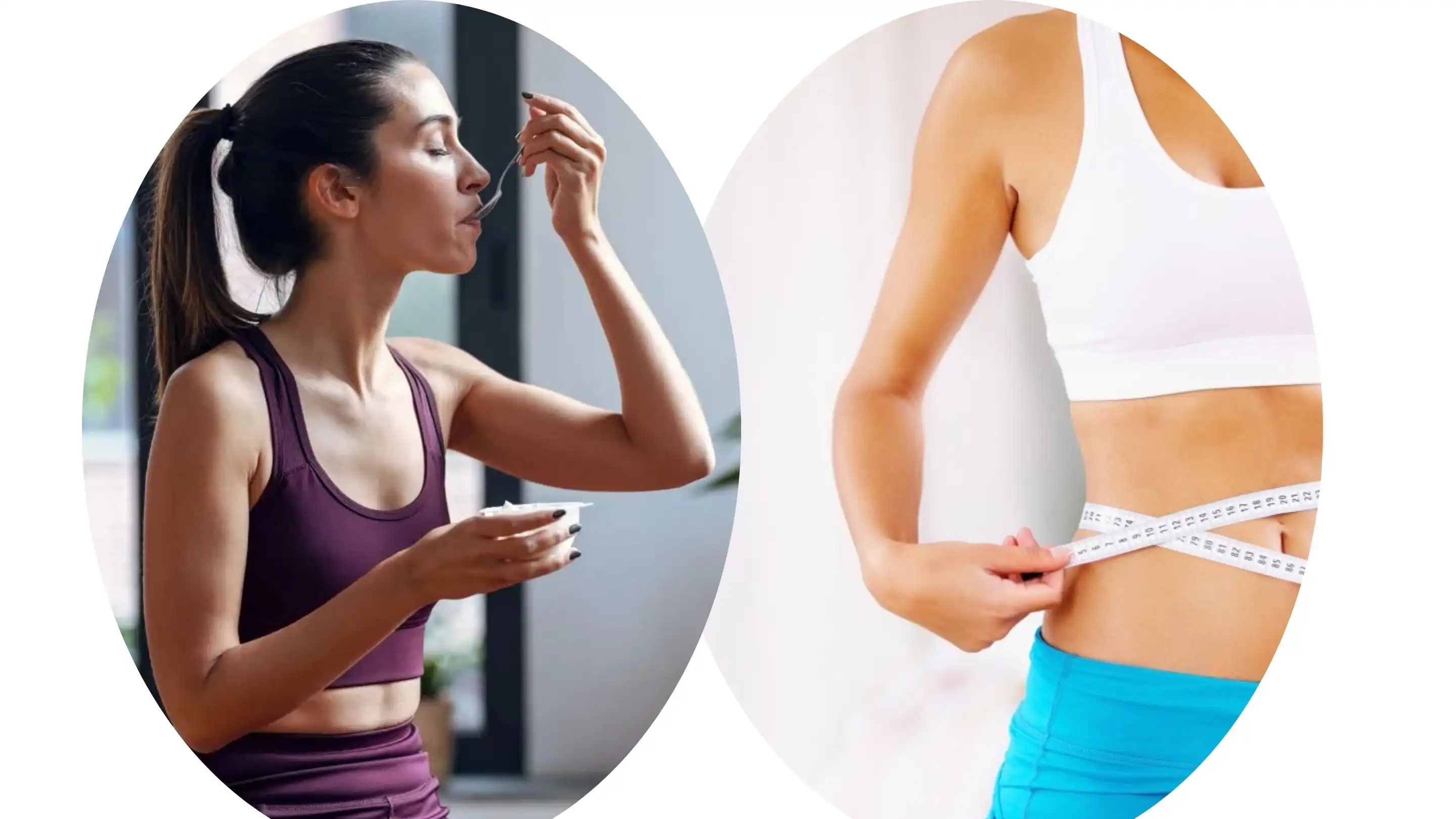 hemp protein powder supplier hemp protein powder supplier