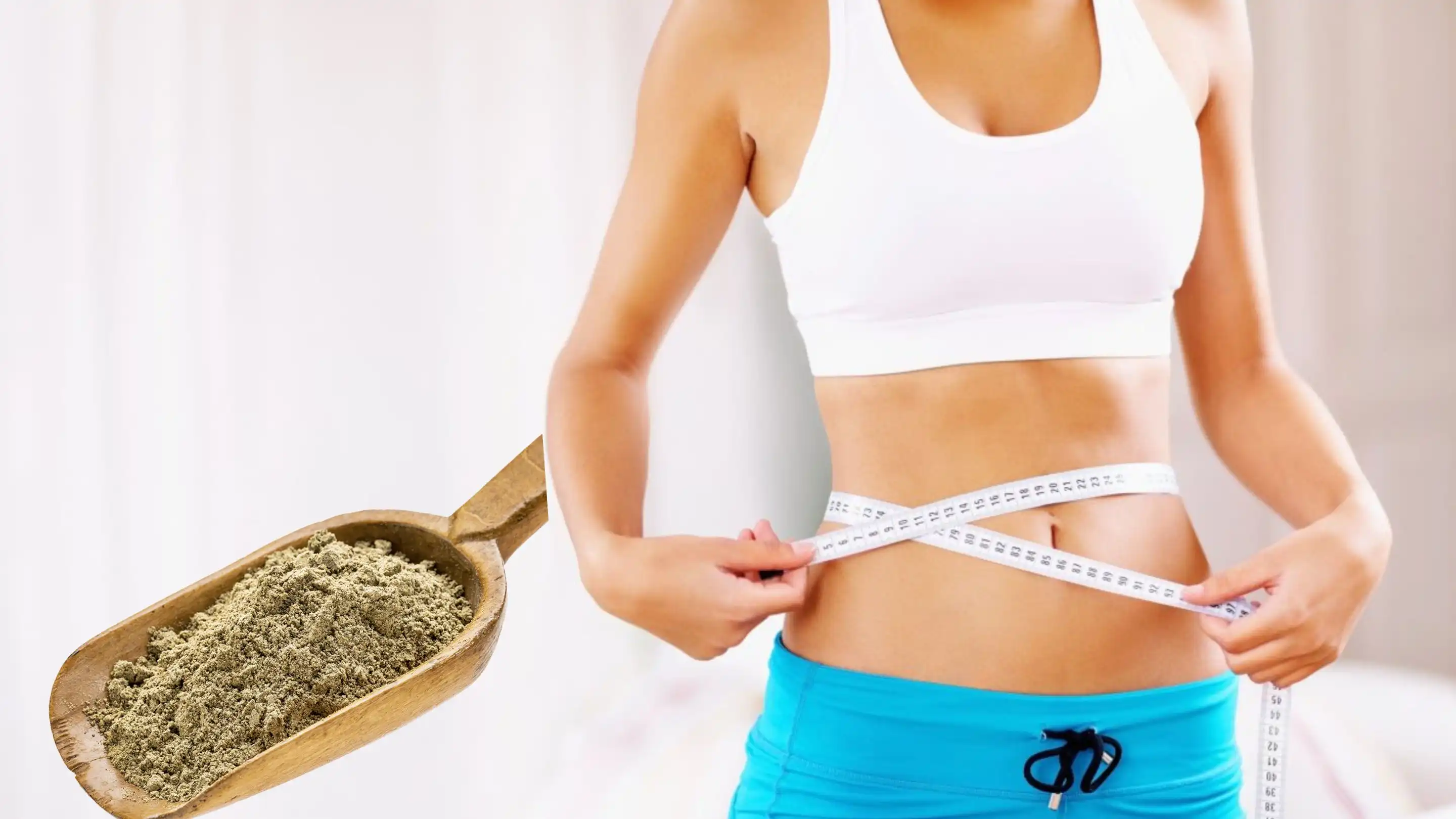 hemp protein powder supplier