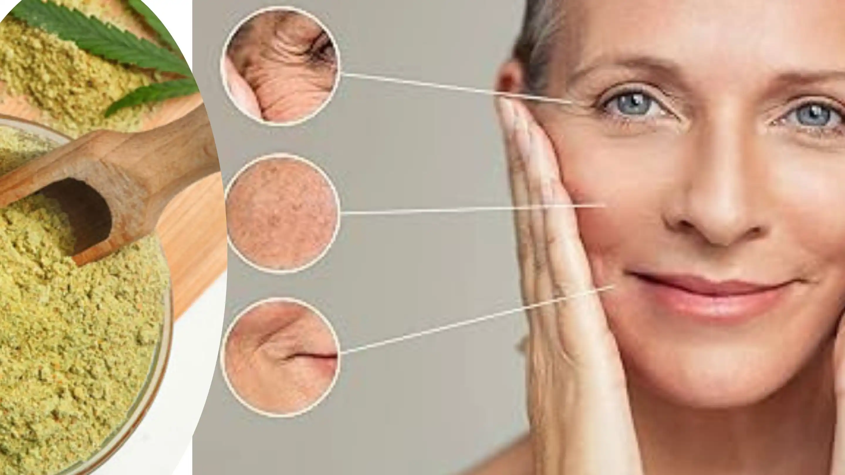 hemp protein supplier hemp protein supplier