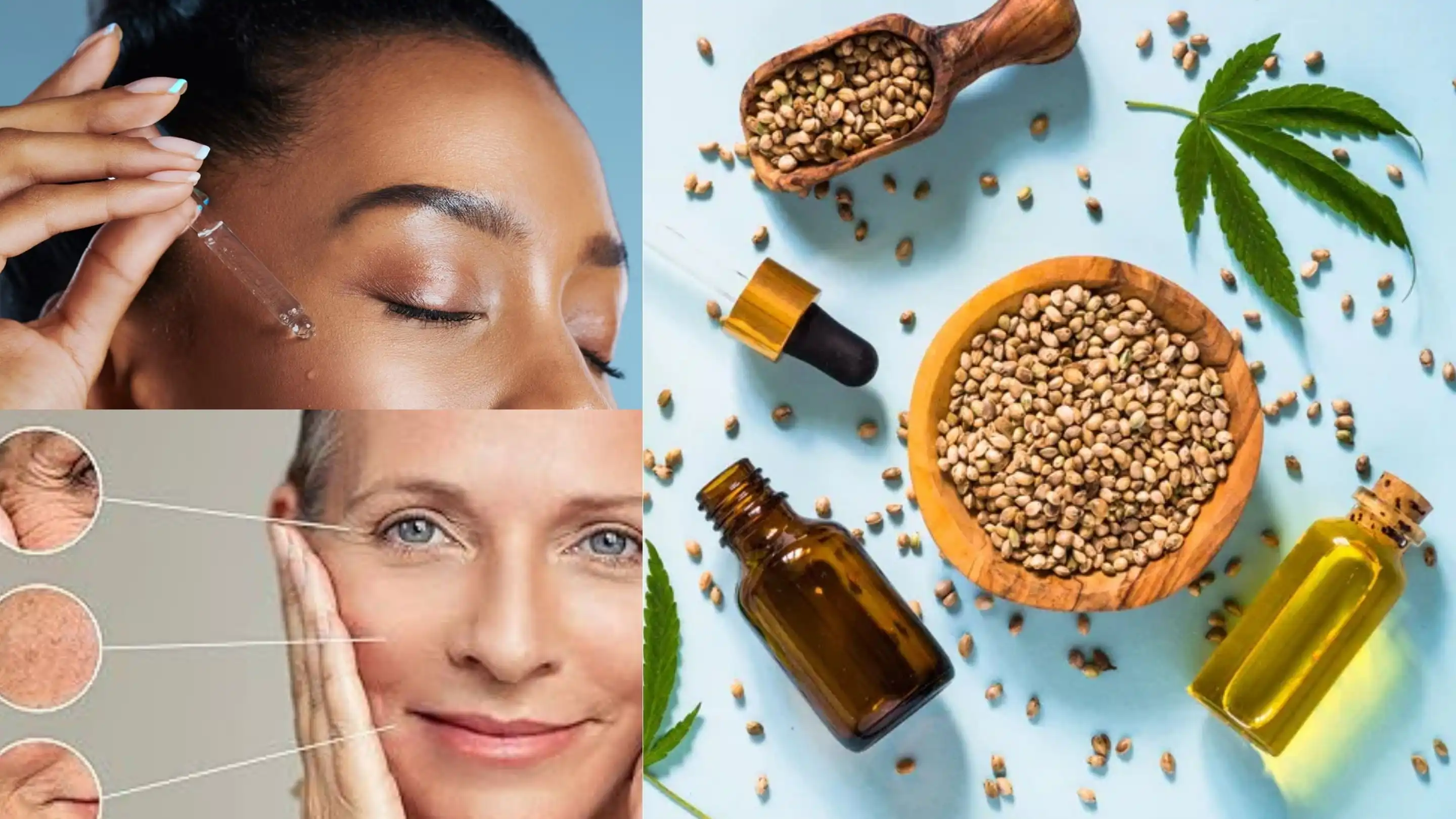 hemp protein supplier hemp protein supplier