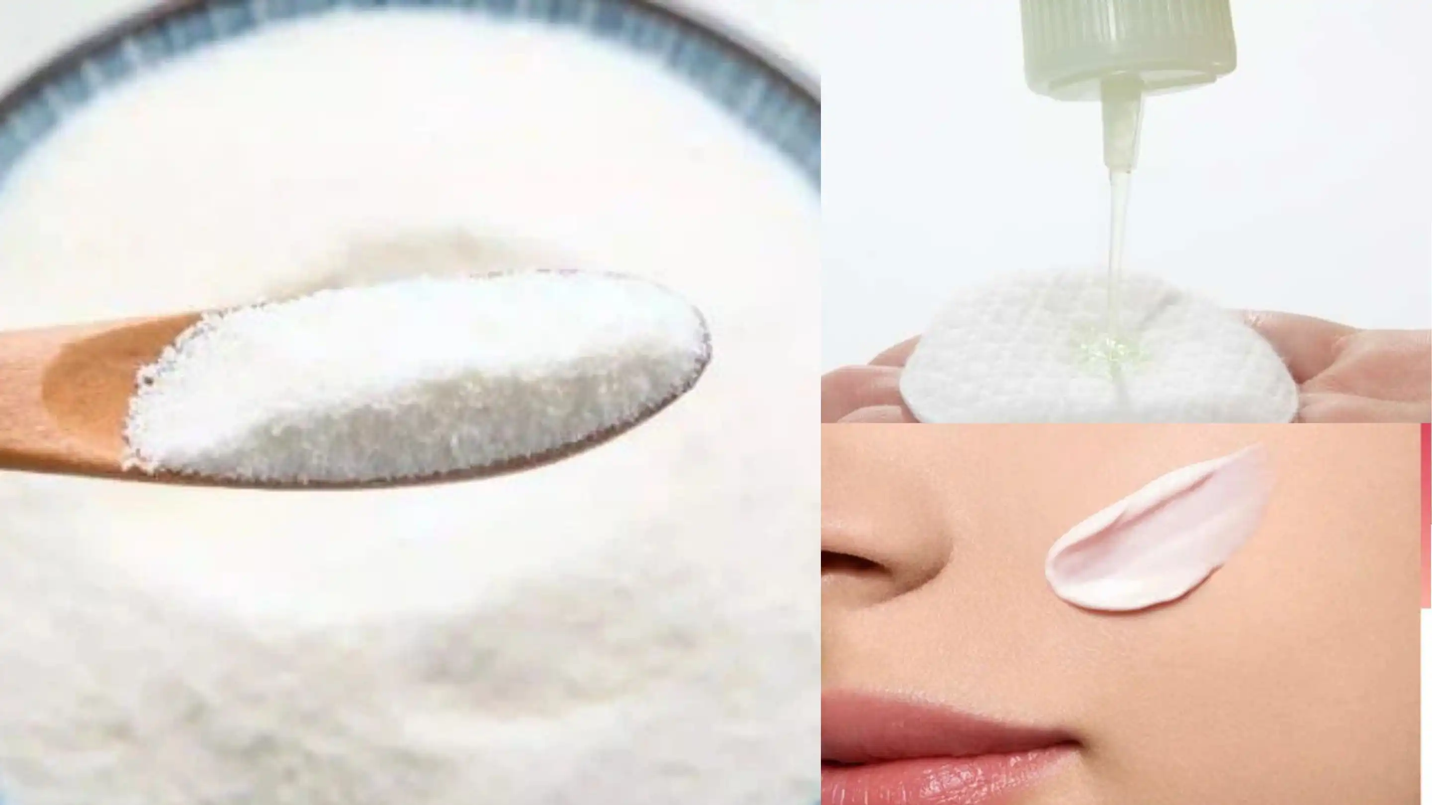 Laminaria Digitata Extract supplier Laminaria Digitata Extract supplier