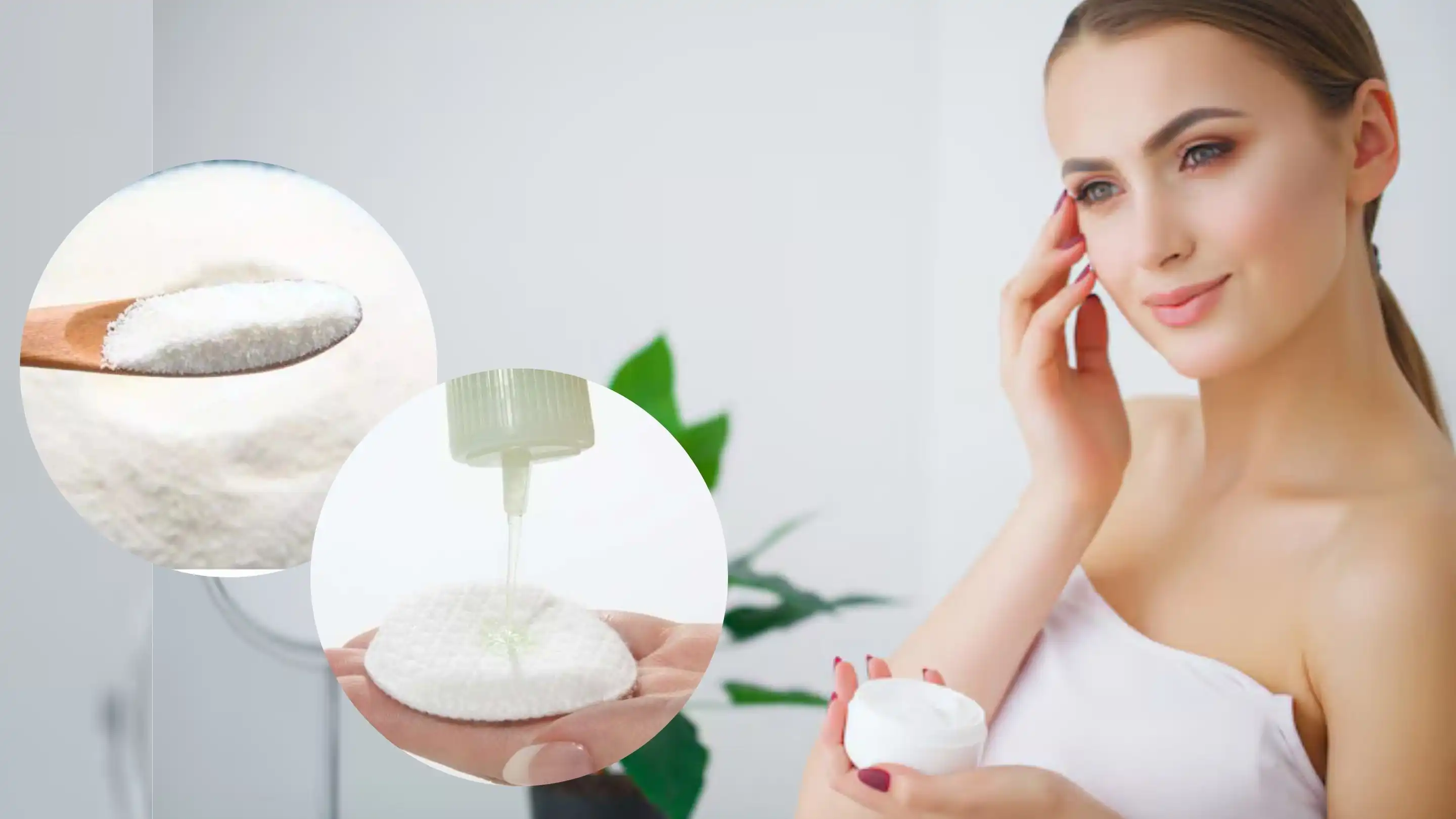 Laminaria Digitata Extract supplier Laminaria Digitata Extract supplier