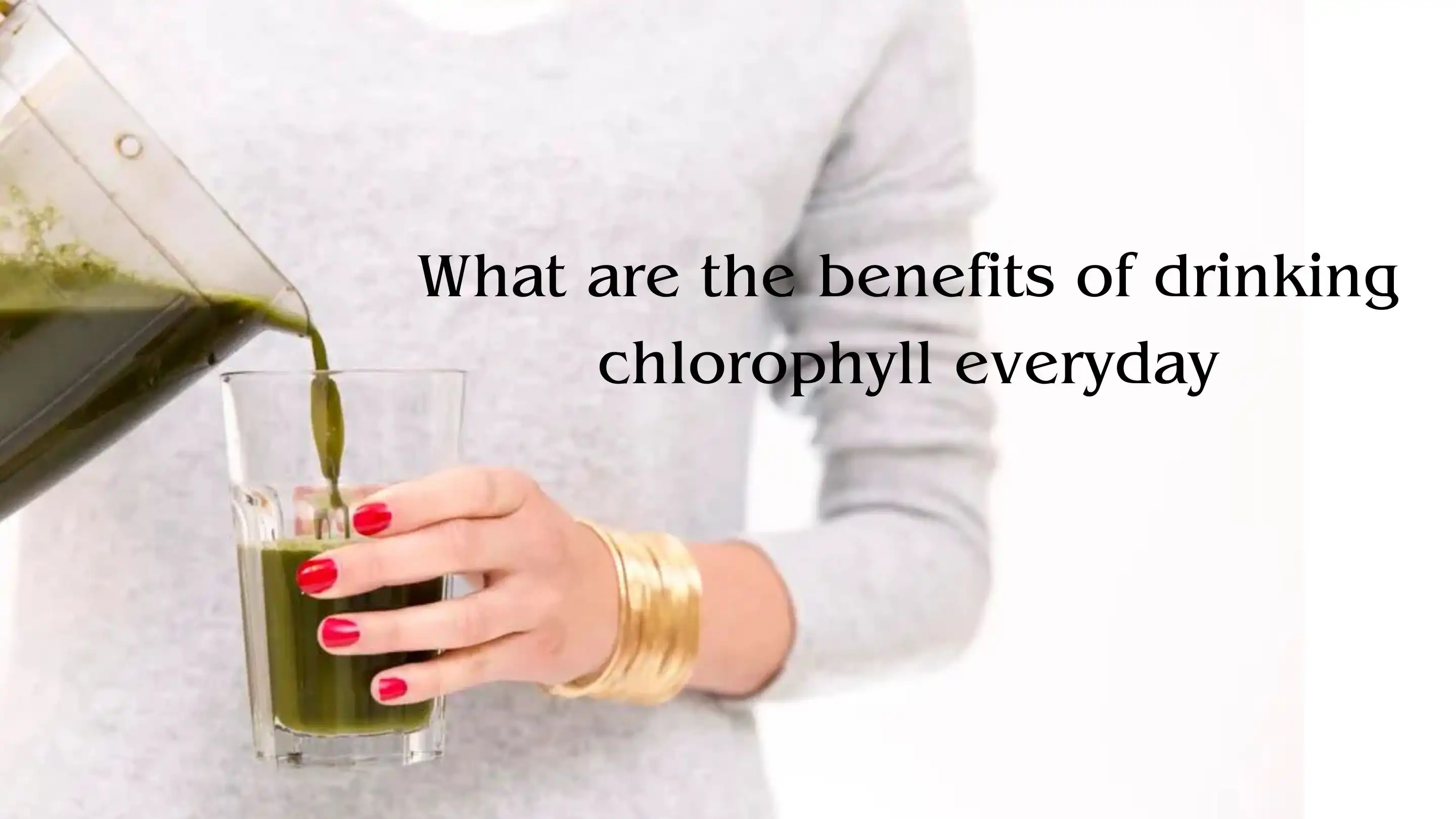 Chlorophyll powder supplier