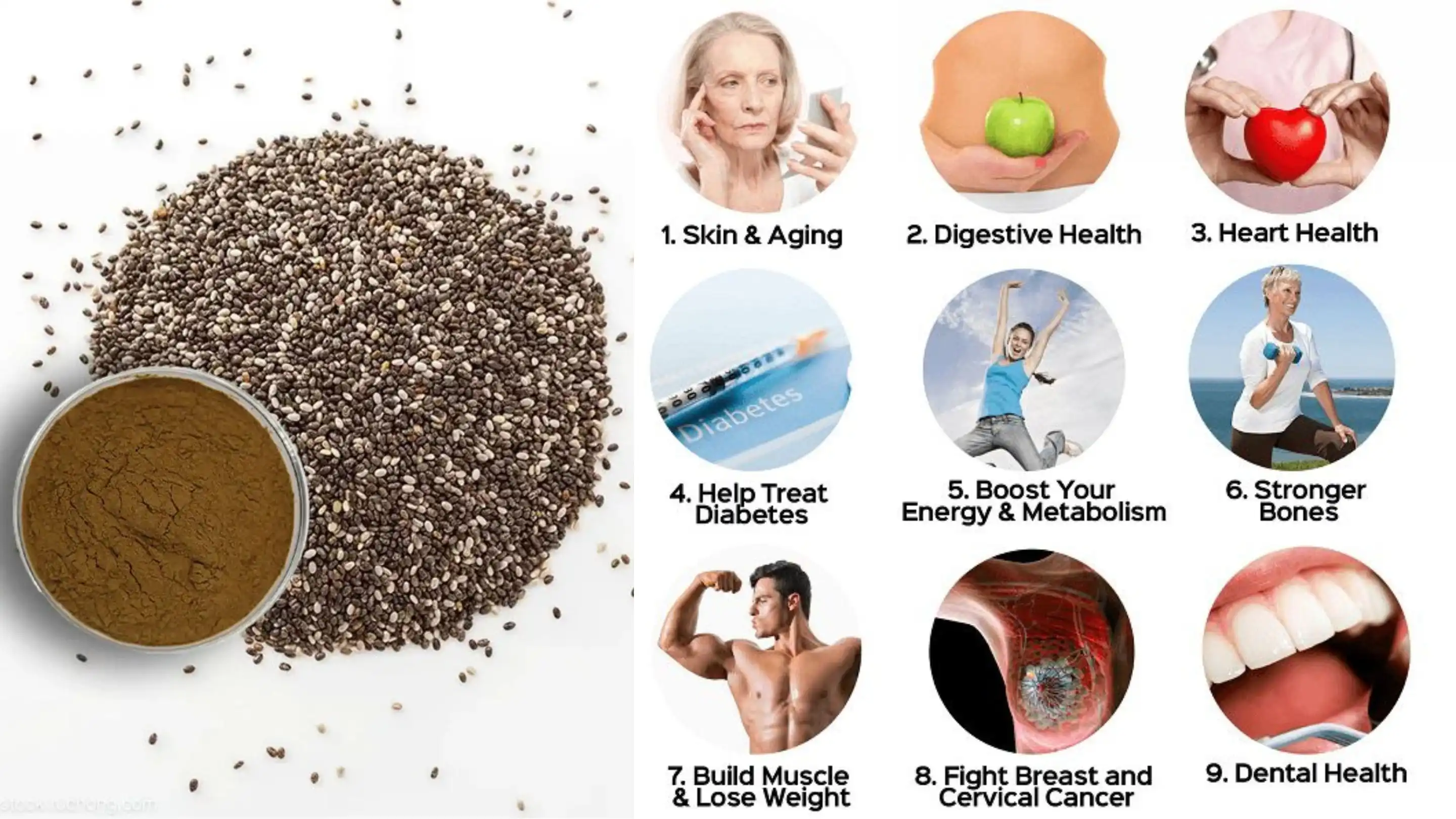 chia seeds chia seeds