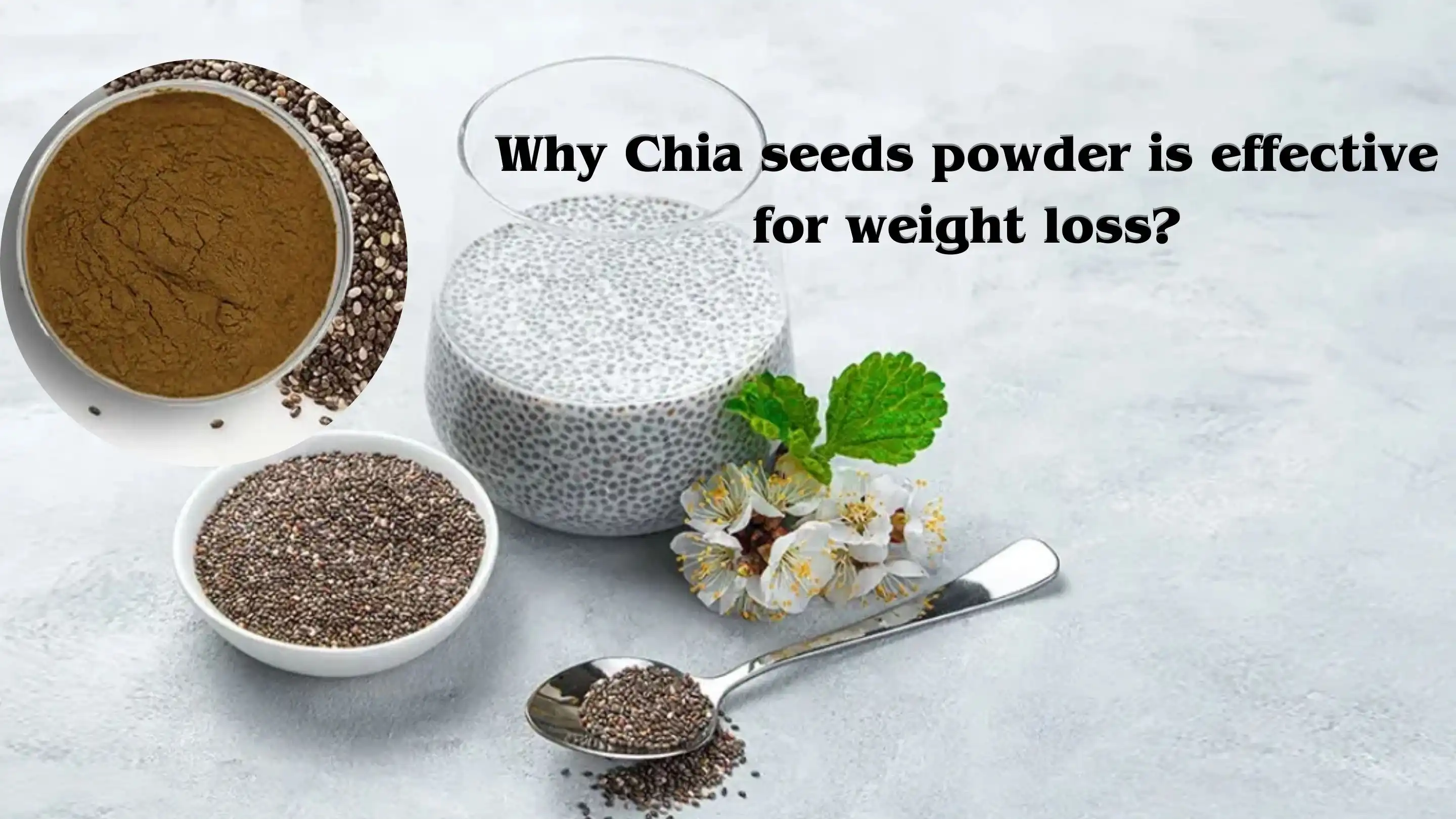 Chia Seeds Powder umthengisi Chia Seeds Powder umthengisi