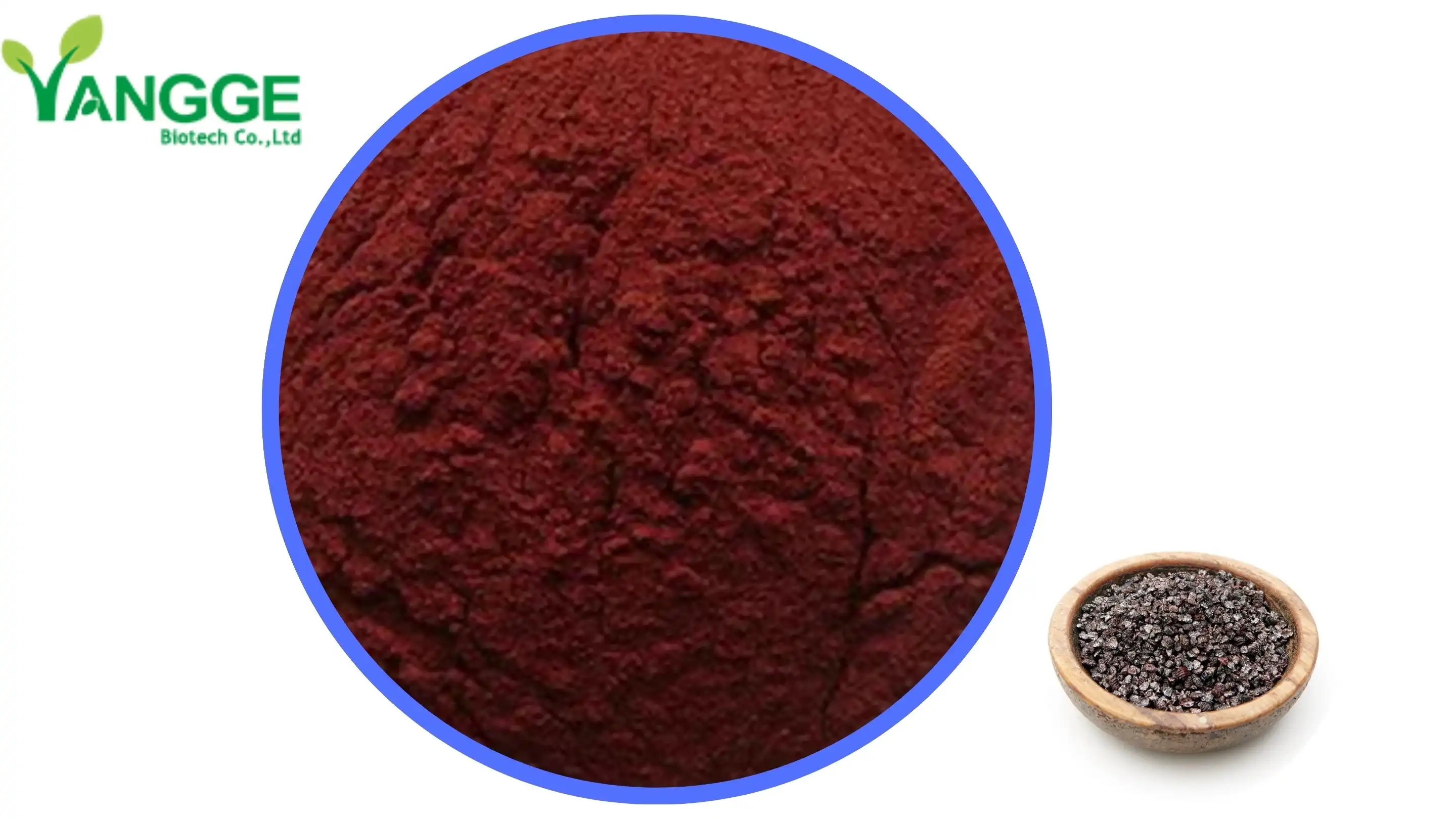 China Carmine powder 50% Abavelisi Factory ababoneleli-YanggeBiotech