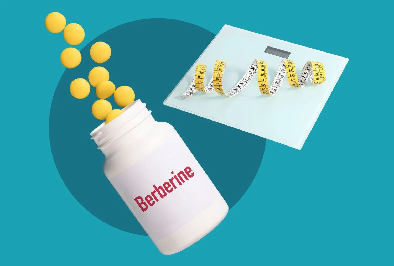 berberine powder supplier