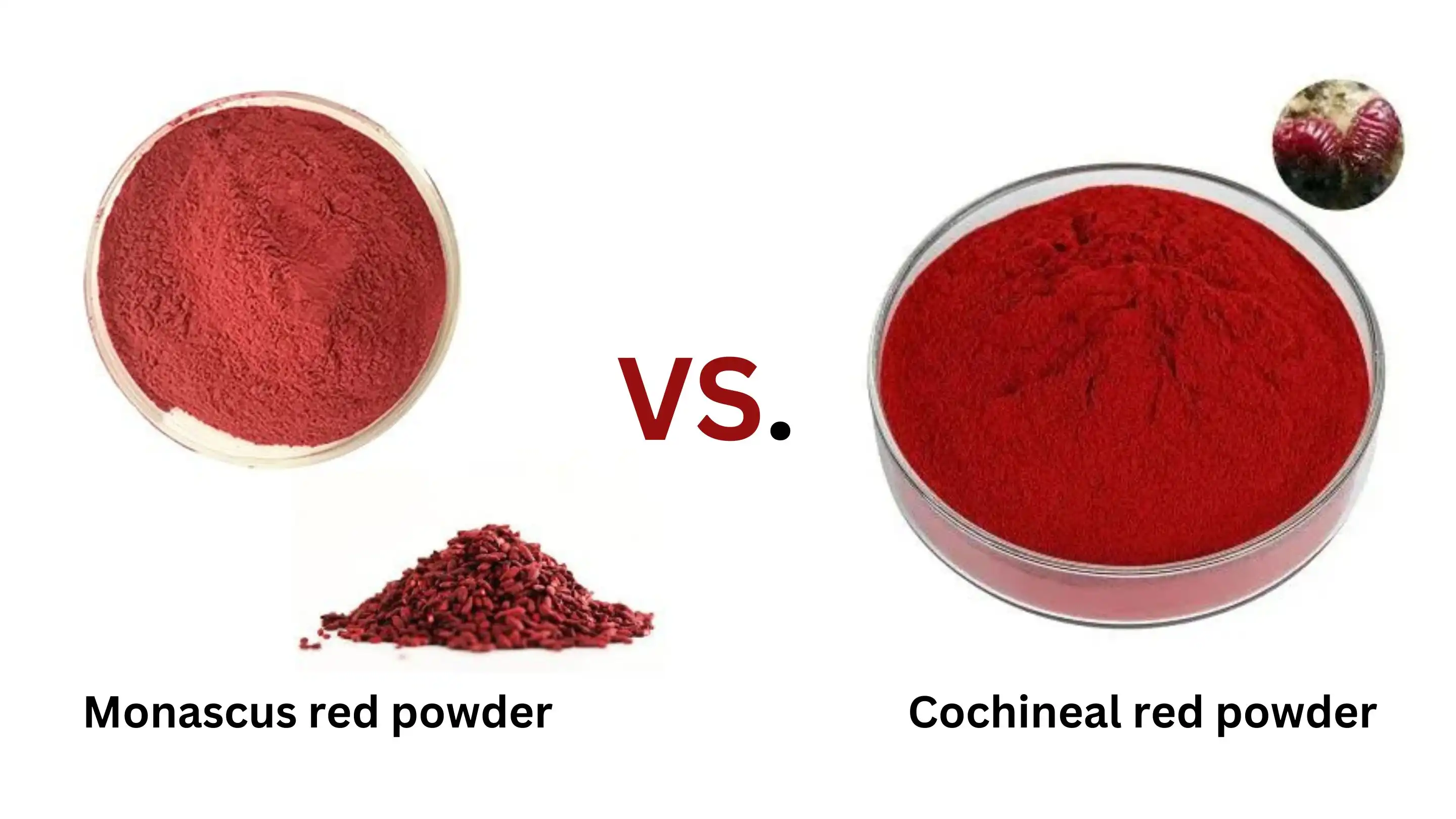 Monascus Red Powder supplier