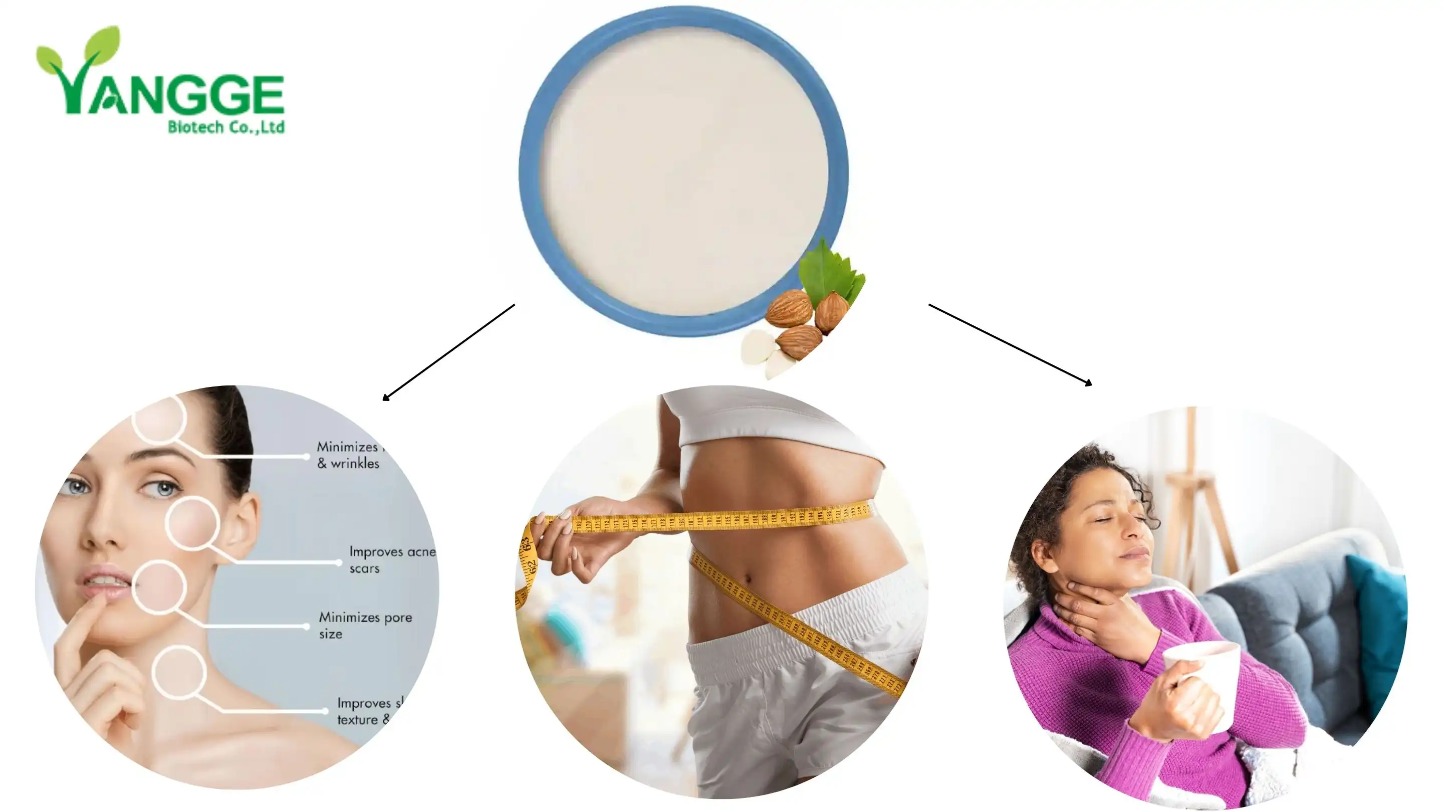 Almond protein 50% 70% 90% supplier yannge biotech Almond protein 50% 70% 90% supplier yannge biotech