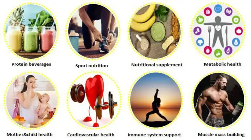 हेम्प प्रोटीन आपूर्तिकर्ता यांगगे बायोटेक हेम्प प्रोटीन आपूर्तिकर्ता यांगगे बायोटेक