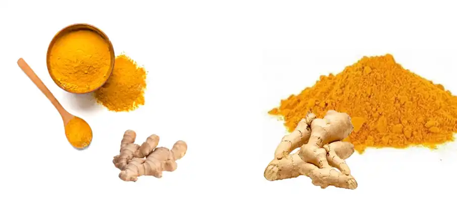 Tumeric Root Extract Curcumin 95% supplier Yangge Biotech Tumeric Root Extract Curcumin 95% supplier Yangge Biotech