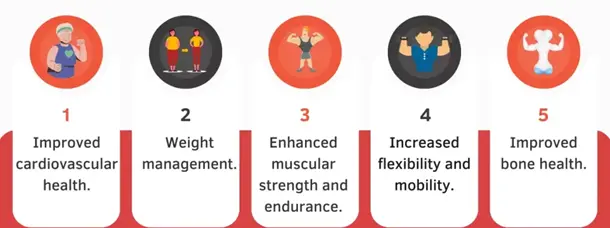 Potato protein powder supplier Potato protein powder supplier