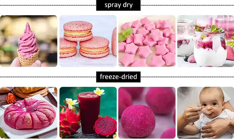 Pink Pitaya Powder supplier Yangge Biotech Pink Pitaya Powder supplier Yangge Biotech