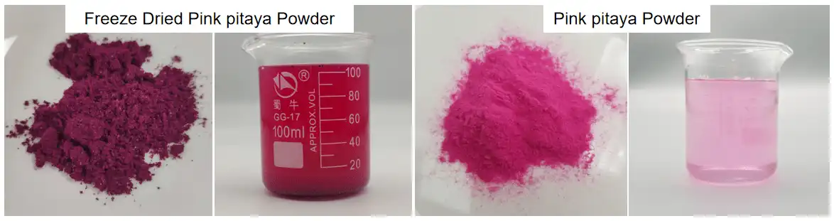 Pink Pitaya Powder supplier Yangge Biotech Pink Pitaya Powder supplier Yangge Biotech