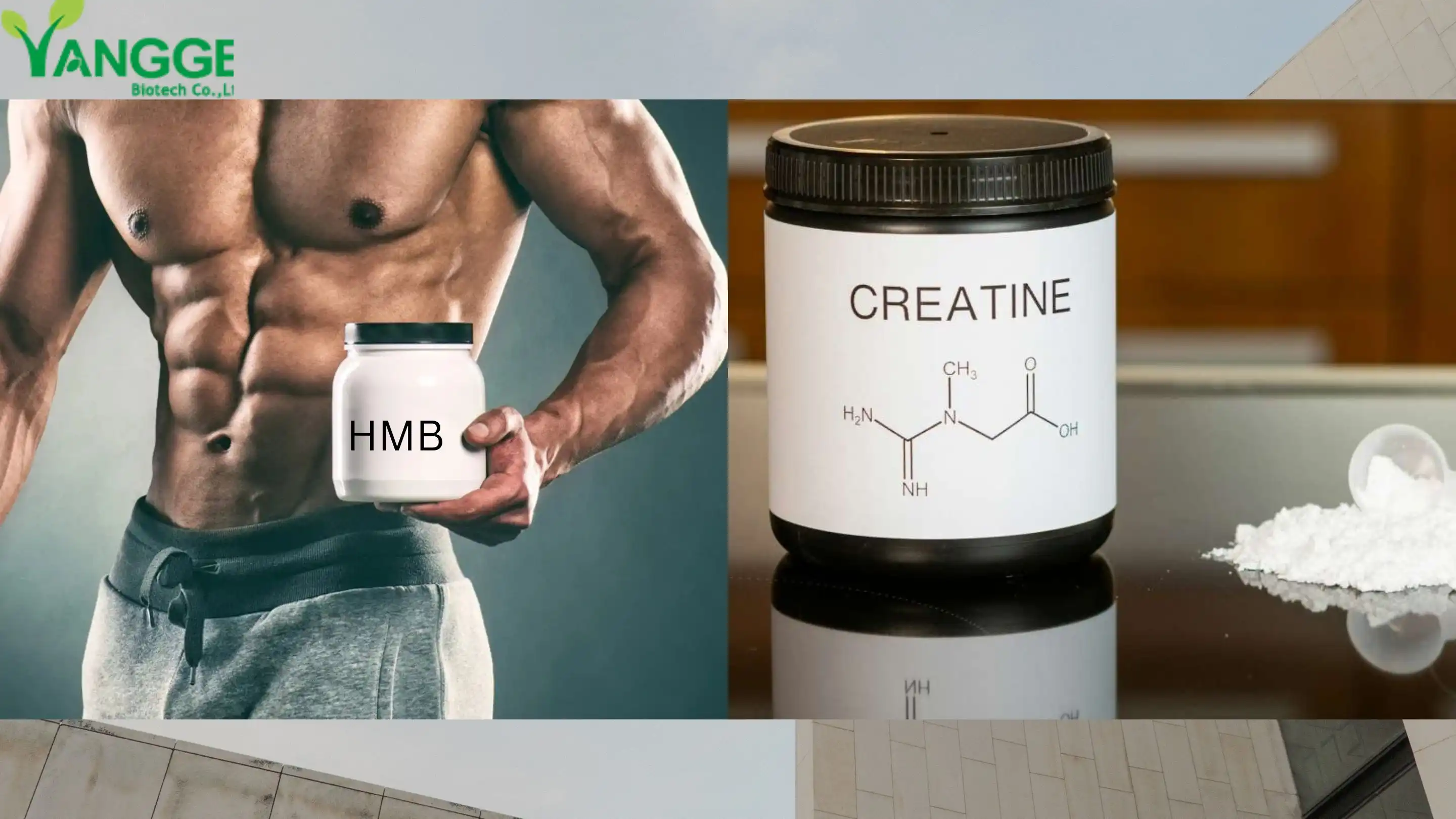 Creatine