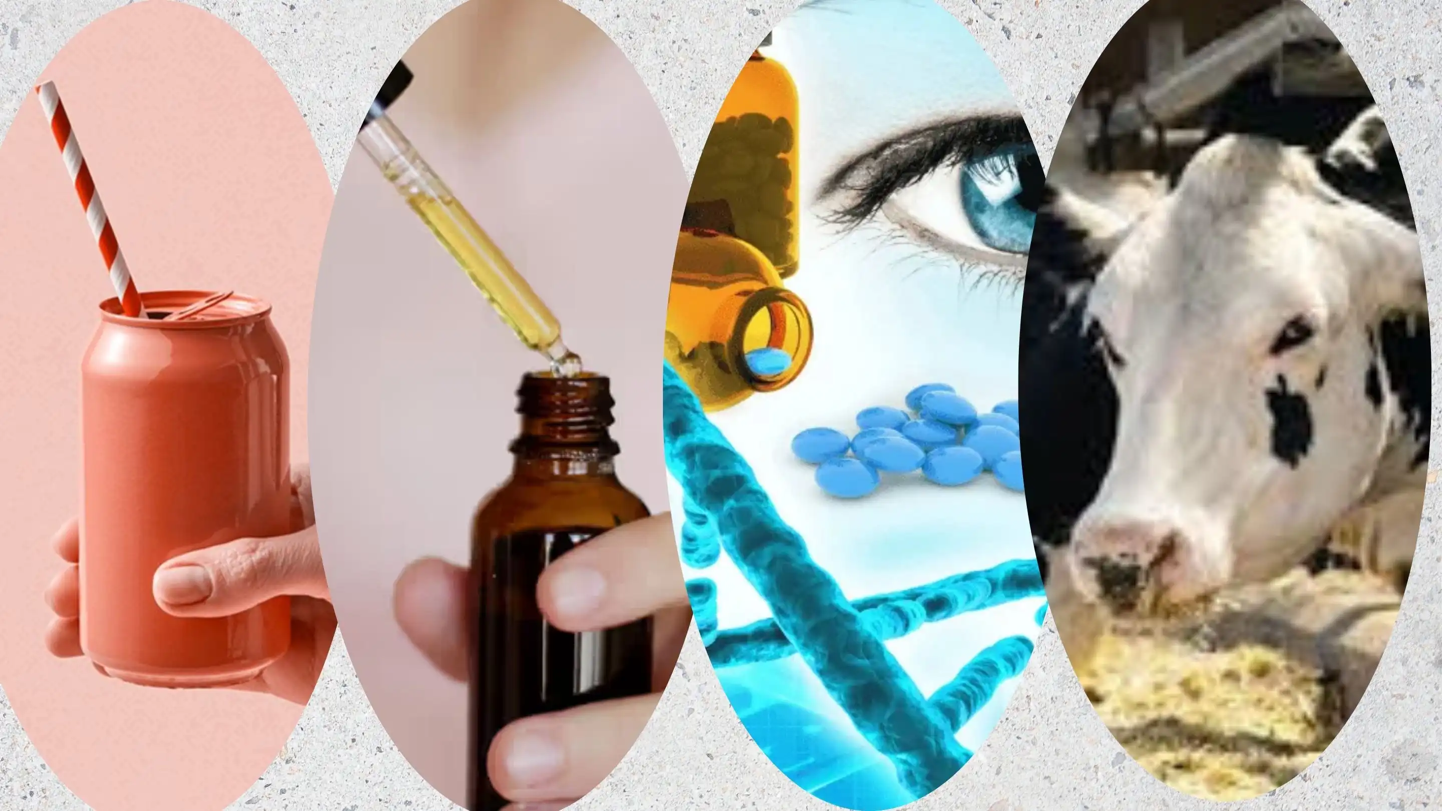 Beta Carotene Oil Suspension 20% 30% supplier Yangge Biotech Beta Carotene Oil Suspension 20% 30% supplier Yangge Biotech