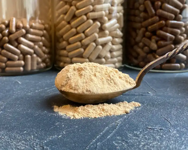 Lion's Mane Mushroom Extract supplier Yangge Biotech Lion's Mane Mushroom Extract supplier Yangge Biotech