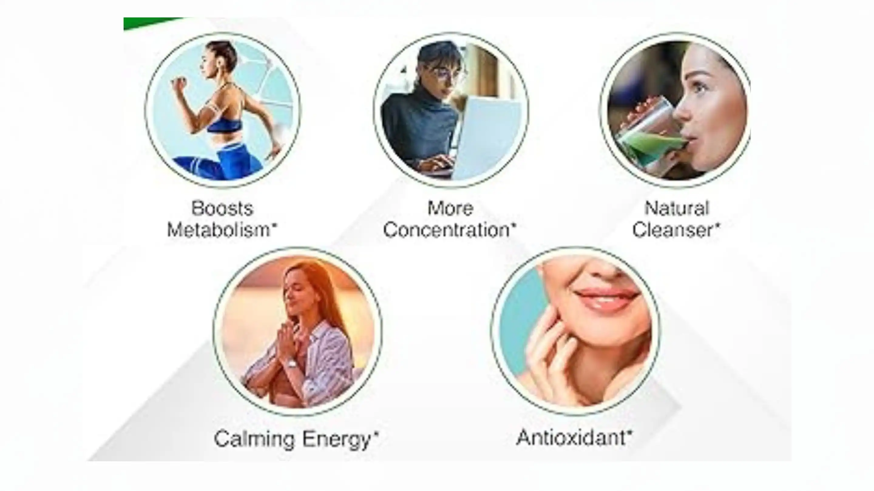 Instant Green Tea Powder supplier Yangge Biotech Instant Green Tea Powder supplier Yangge Biotech