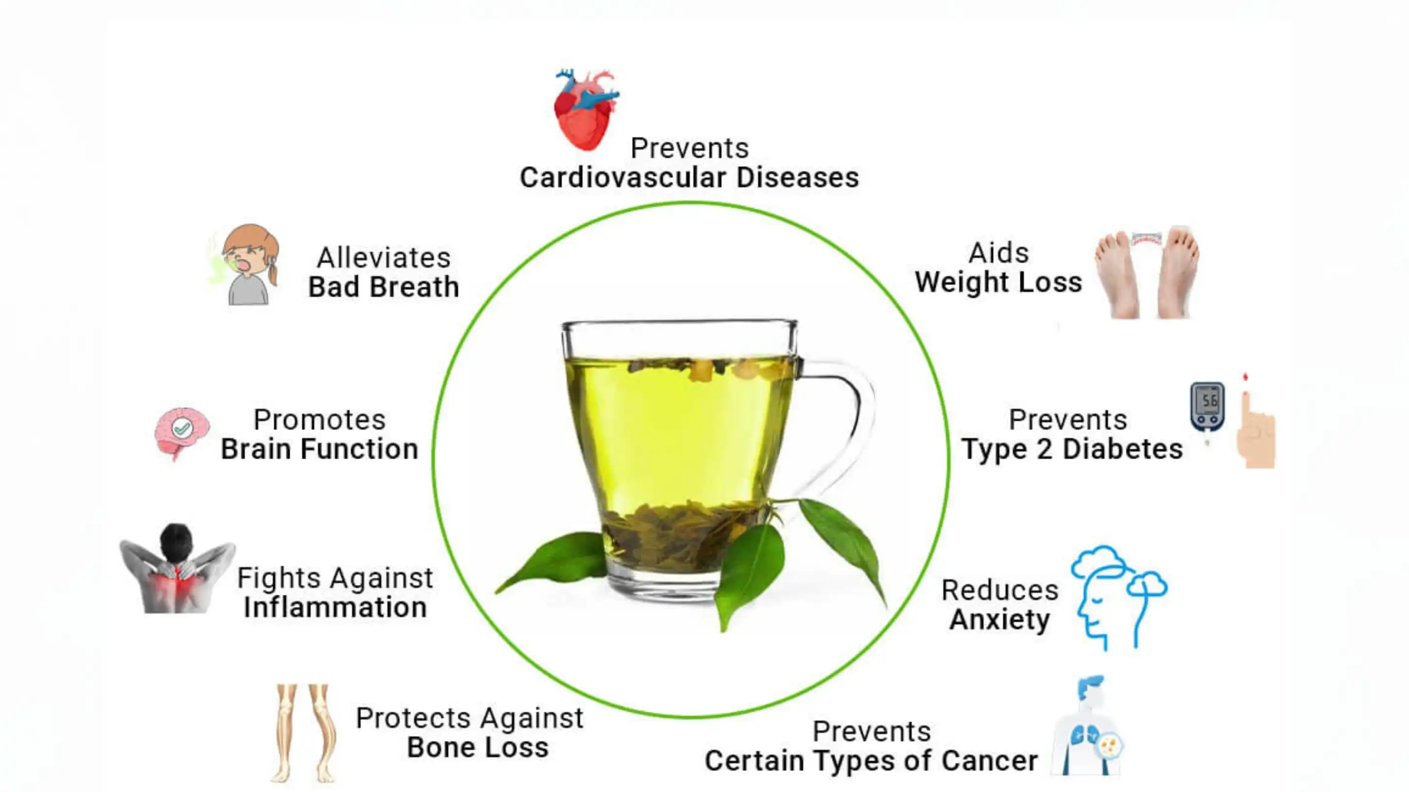 Instant Green Tea Powder supplier Yangge Biotech Instant Green Tea Powder supplier Yangge Biotech
