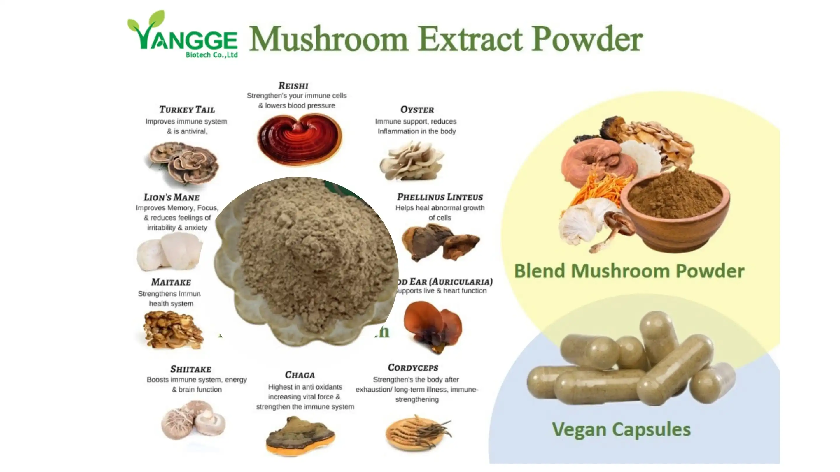 Mushroom Powder supplier Yangge Biotech Mushroom Powder supplier Yangge Biotech