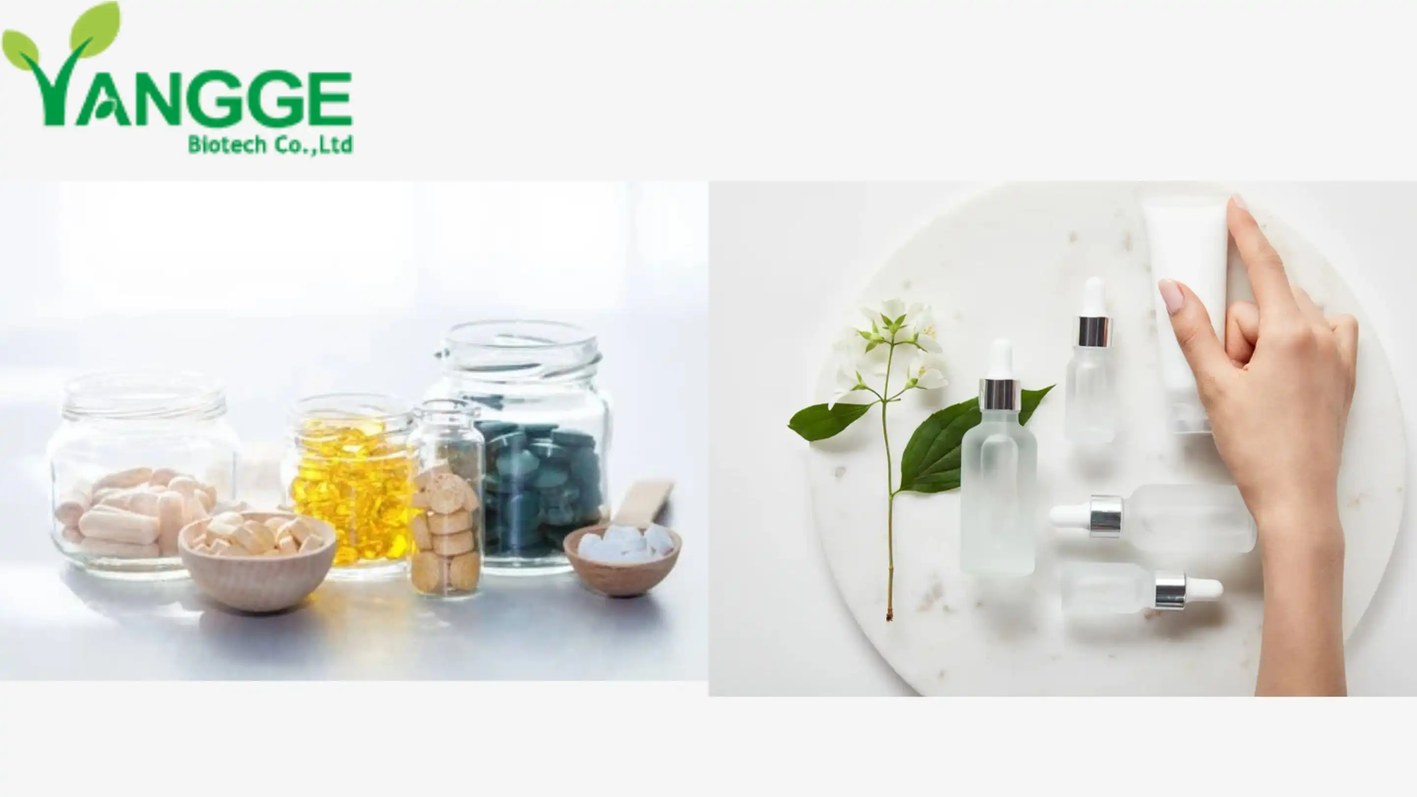 L-Ergothioneine supplier L-Ergothioneine supplier