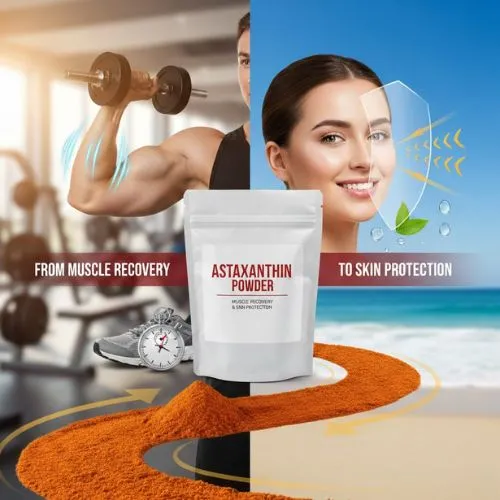 Astaxanthin Powder Benefits From Muscle Recovery to Skin Protection