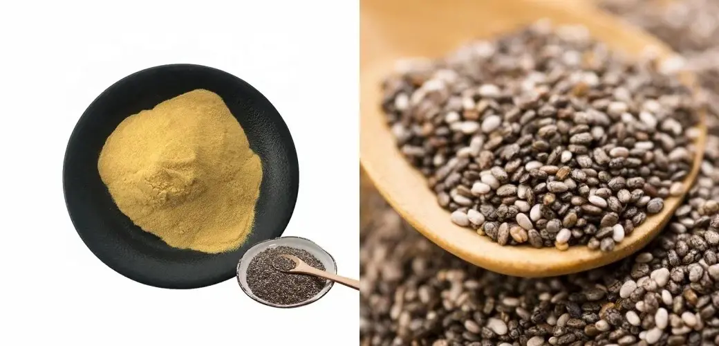 product-1-1 product-1-1